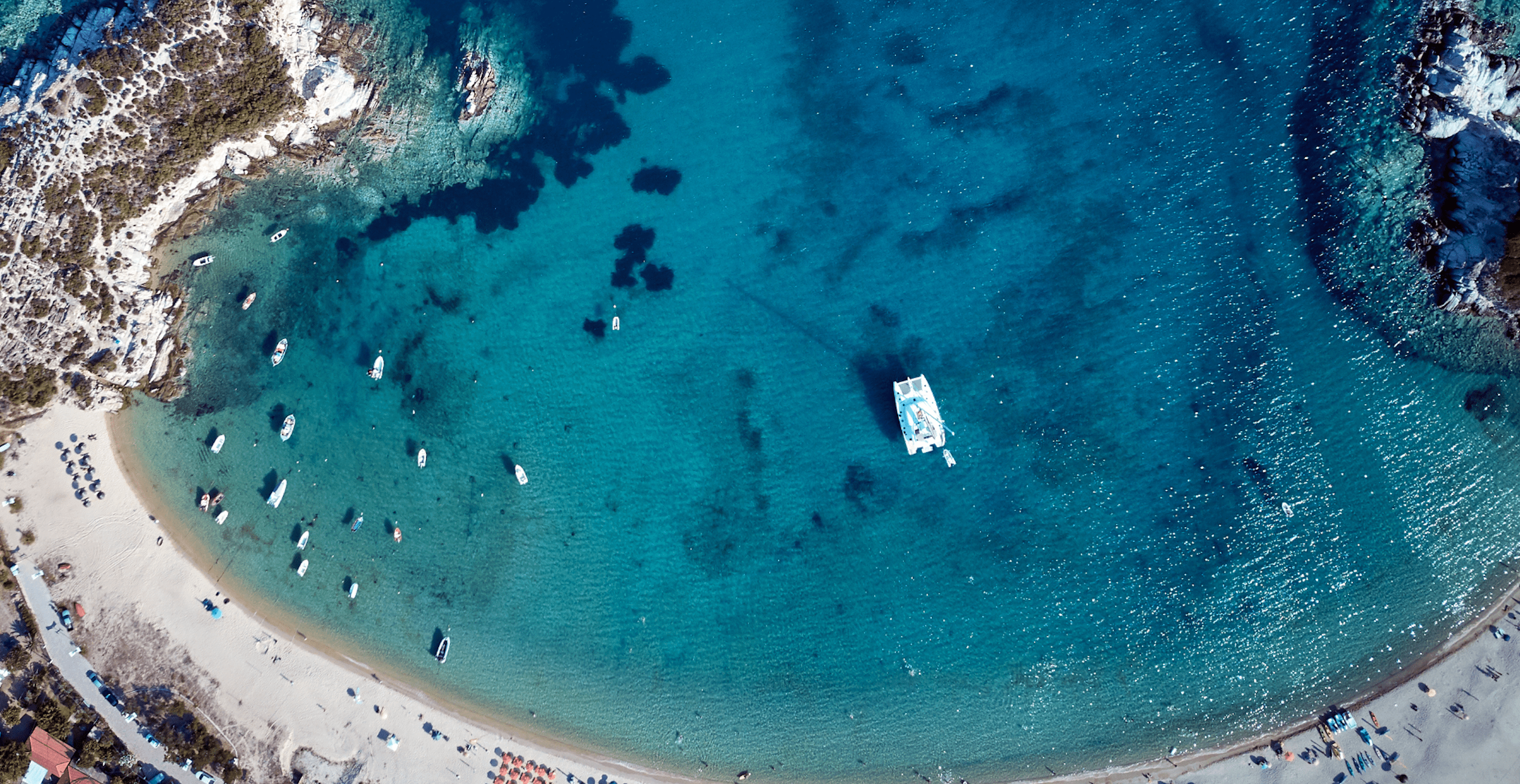 Form Background Image